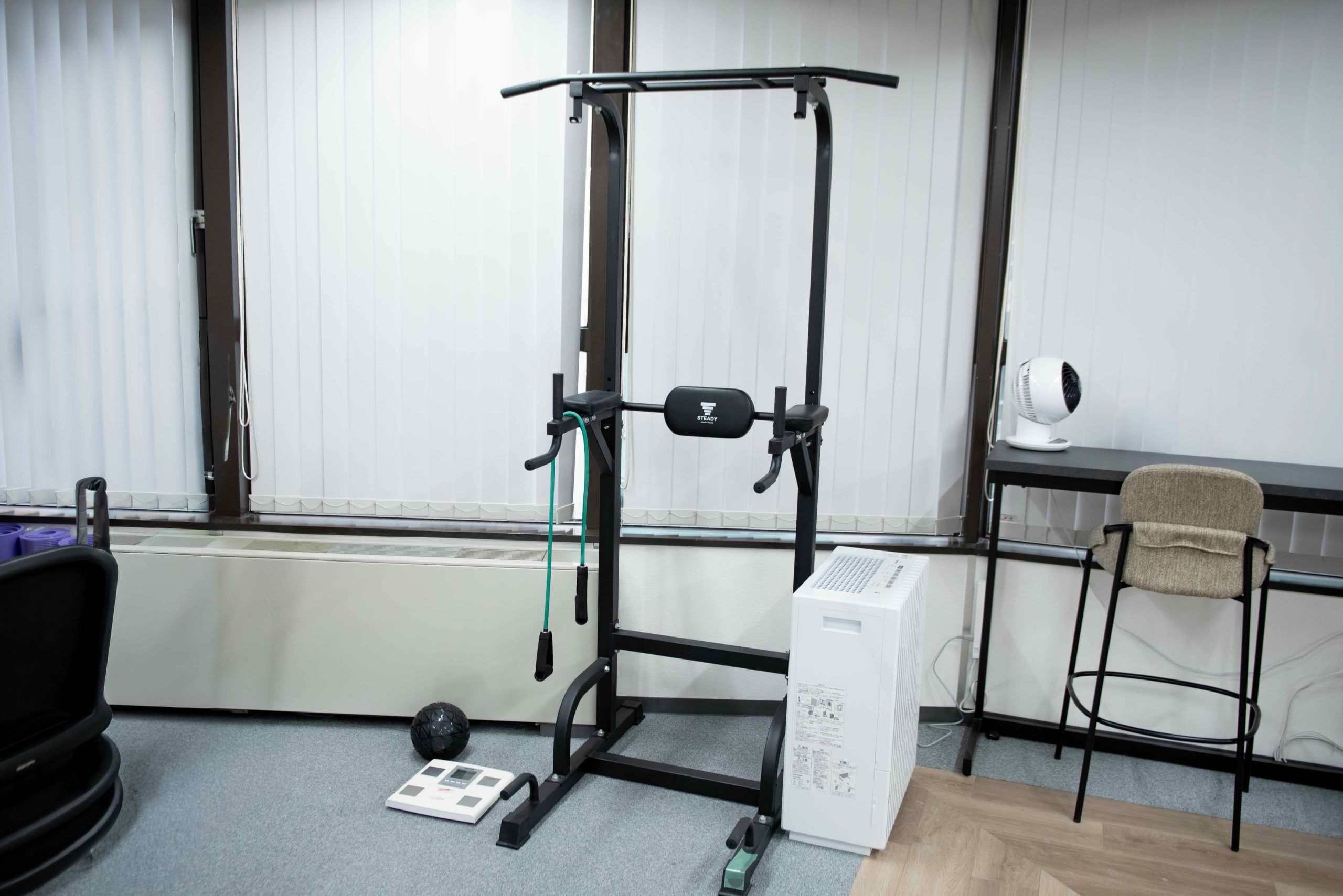 真ん中に懸垂器具があり、その周辺に体組成計やメディシンボール、ストレッチバンドが置かれている部屋の画像